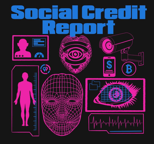 Social Credit Report 2 Color Design